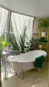 Лисапедово - 66