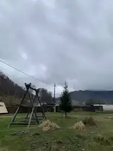 Золотая пчела - 47