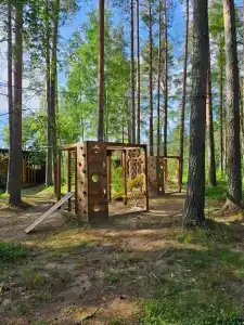Стеклянный берег - 43