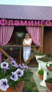 Фламинго - 33