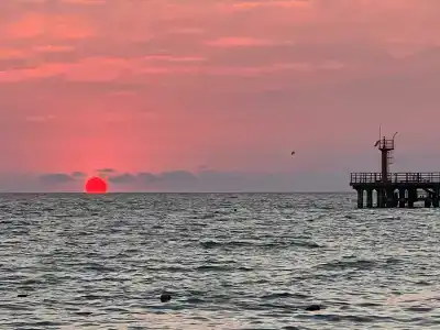 У Роберта - 8