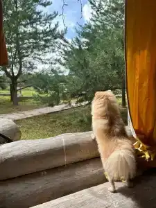 Усадьба Долгорукий - 76