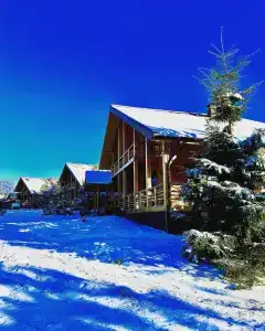 Богослово - 73