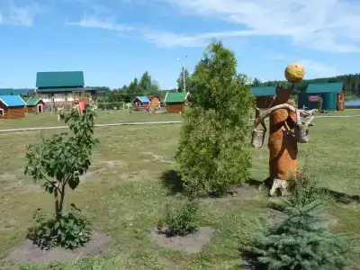 Сосновка - 13