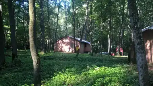 Старт - 11