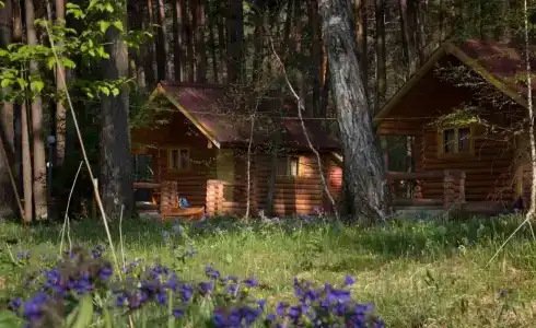 Топлес - 23