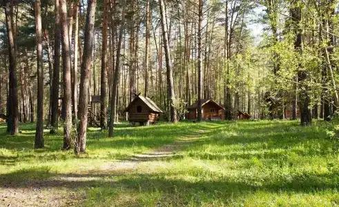 Топлес - 27