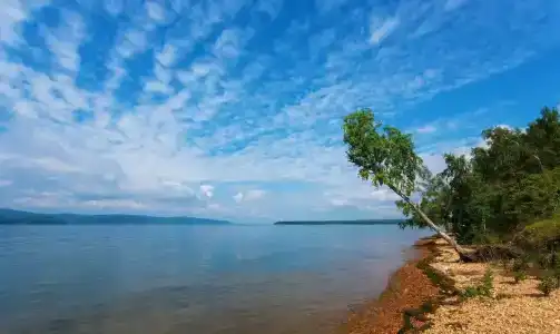 Бурдугуз - 21