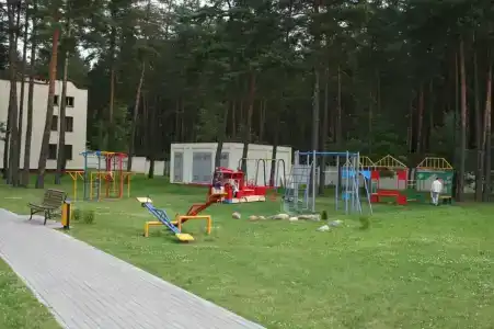 Энергетик - 81