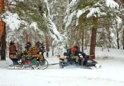 Дубки-В гостях у сказки - 55