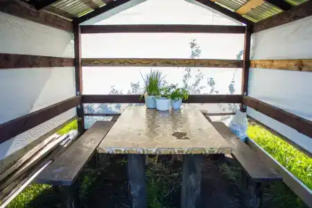 Золотая рыбка - 2