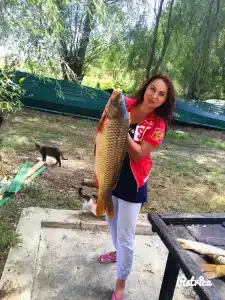 Квартет 3077 - 15