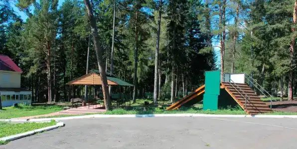 Чайка - 3