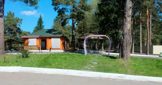 Чайка - 6