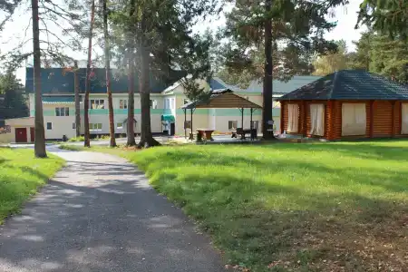 Чайка - 0