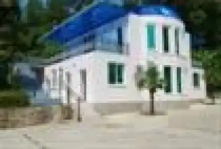 Самшит - 3