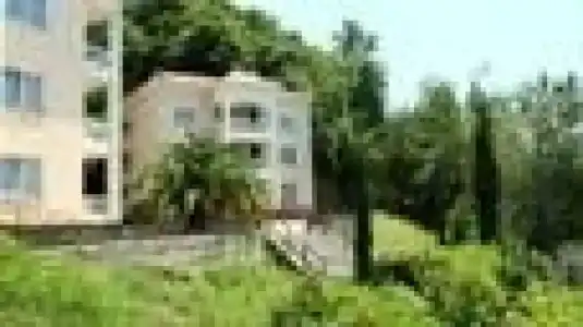 Самшит - 2