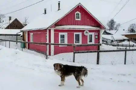 Экотур - 15
