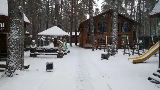 Сосновый Бор - 30