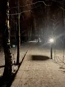 Кутузово - 44