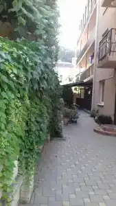Лантана - 0