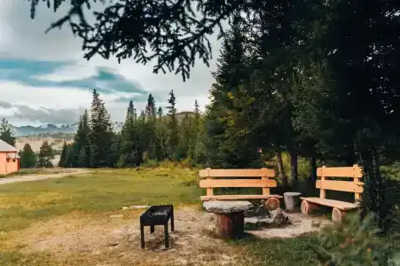 Ясная поляна - 1