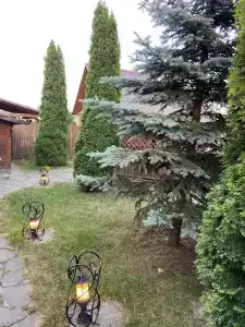 Усадьба Каташи - 9