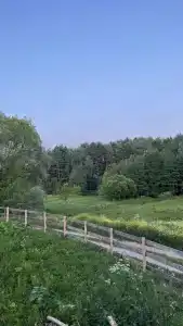 Гостевой двор - 42