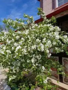 Легион - 30