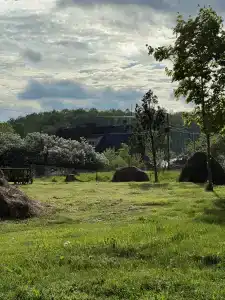 Шельден - 93