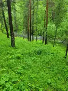 Загородный Очаг - 41