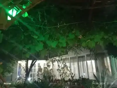 Московский - 74