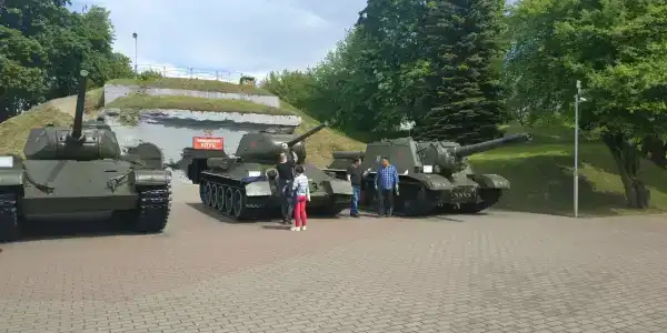 Беловежская пуща. №2 - 11