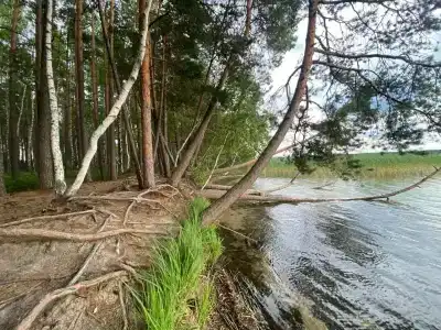 Белое озеро - 28