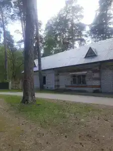 Сосновая роща - 0