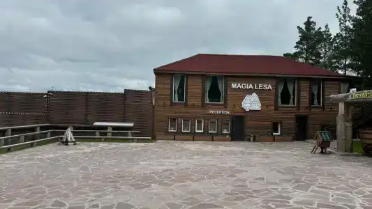 Магия леса - 39