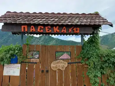 Пасека 13 - 6