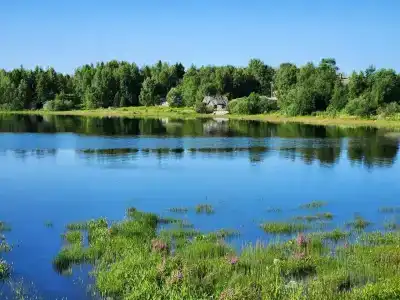 Кемский берег - 33