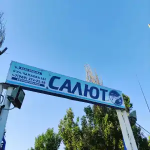 Салют - 3