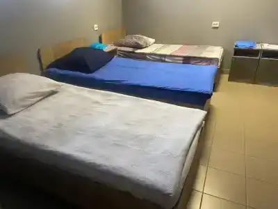 Подорожник - 13