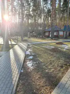 Галдым - 43