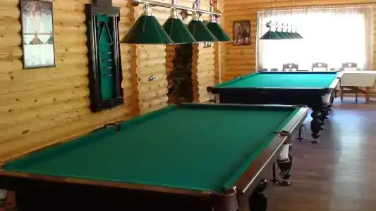Снегири - 16