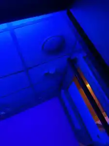 Relax Point - 13