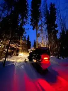 Снегоходия - 32