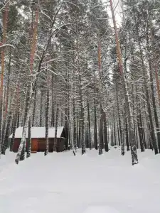 Едем в Киреевск - 24