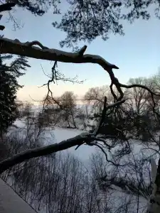 T-Park, тренинговый парк - 77