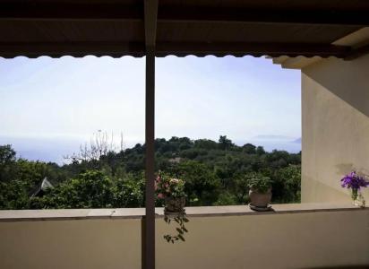 Mandarin & Mango Boutique - 9