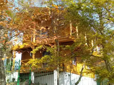 Бревенчатый дом в лесу - 4