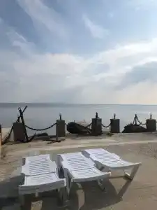 Рапан - 0