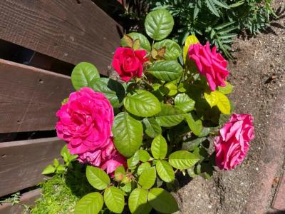 Гостевой дом Элиза Заркау - 69